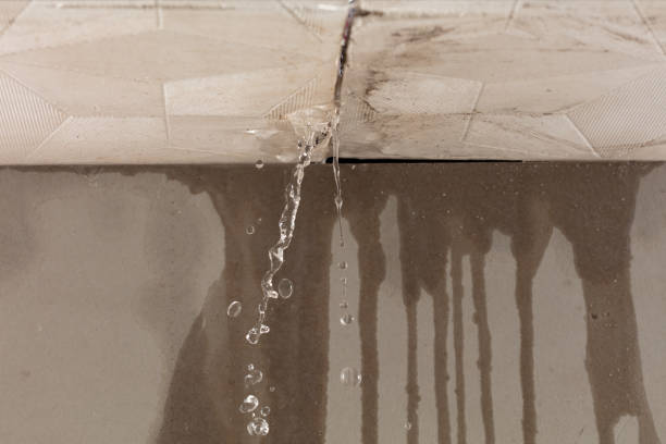 Professional Burst Pipe Cleanup technician working in Goshen, UT